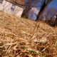 Image for article titled Shooting Challenge: Spring